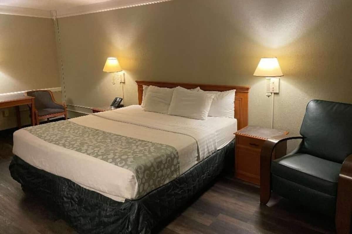Premium bedding, blackout curtains, iron/ironing board, free WiFi