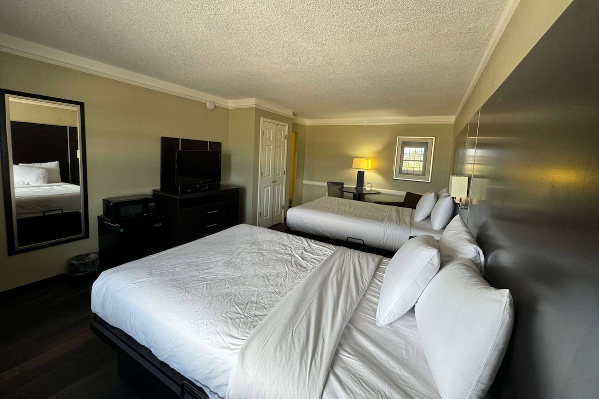 Ropa de cama de alta calidad y cortinas blackout