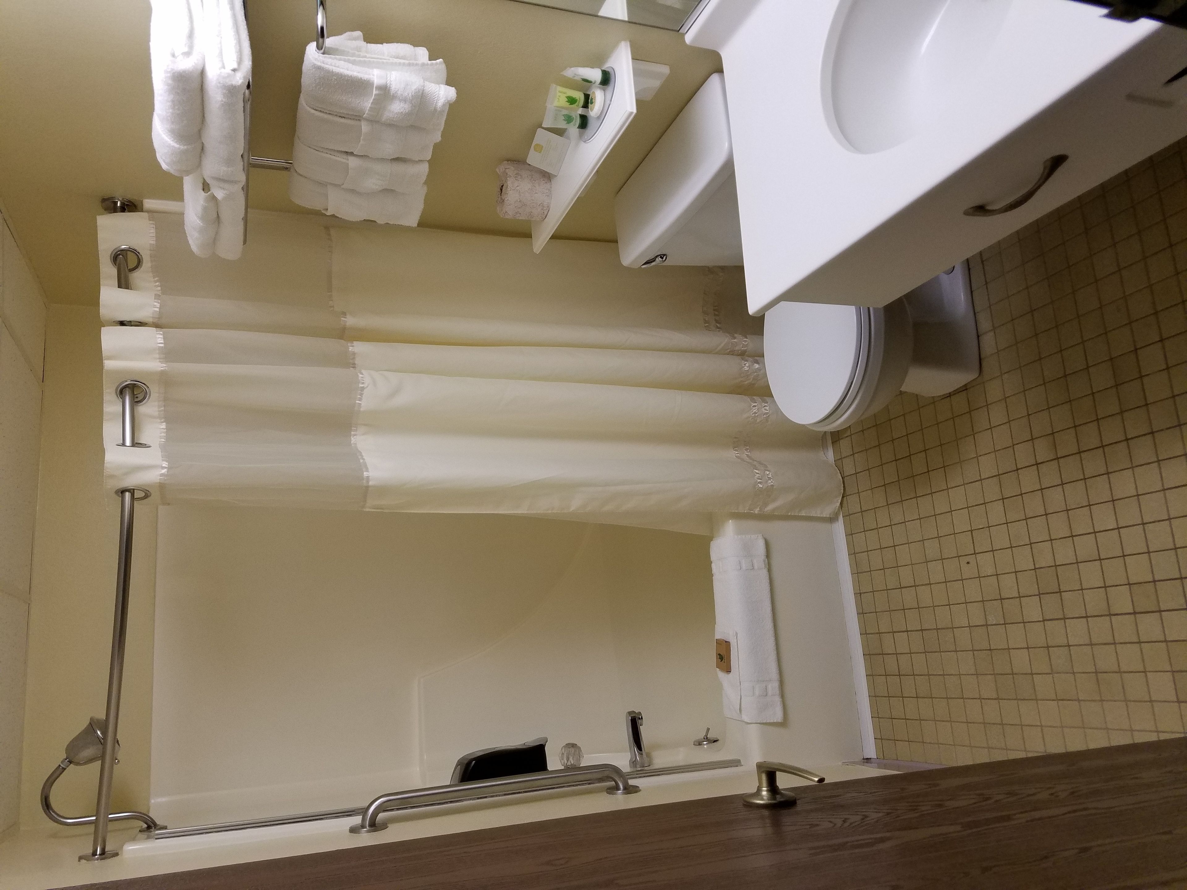 Combined shower/bathtub, free toiletries, hair dryer, towels