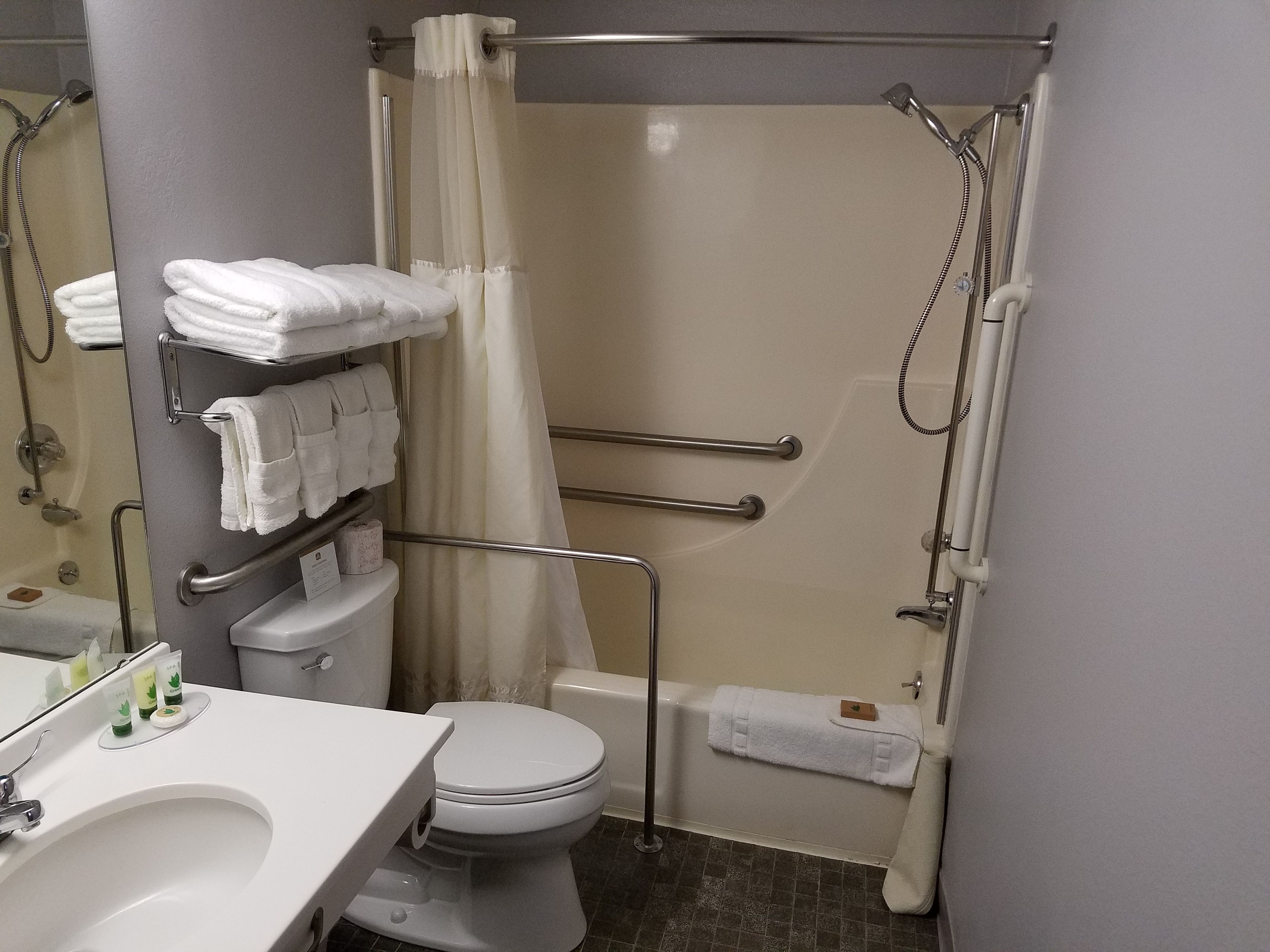 Combined shower/bathtub, free toiletries, hair dryer, towels