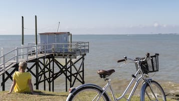 Een fiets geparkeerd op een gazon nabij een steiger, met uitzicht op het water.