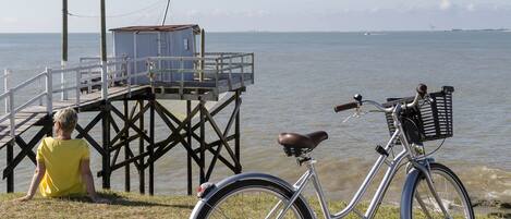 A bicycle parked on a grassy area near a pier with a clear view of the water.