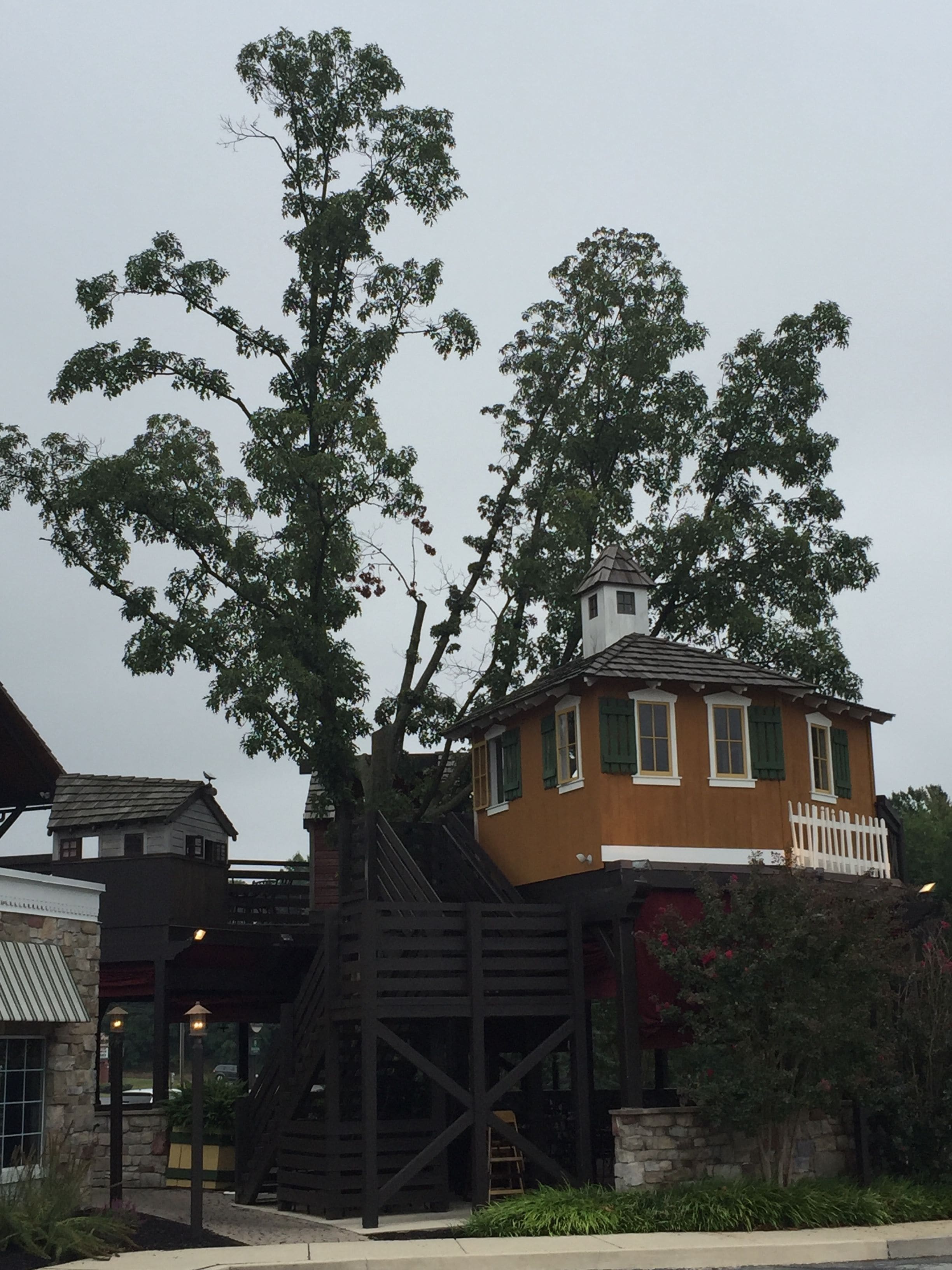 breakfast, lunch and dinner served