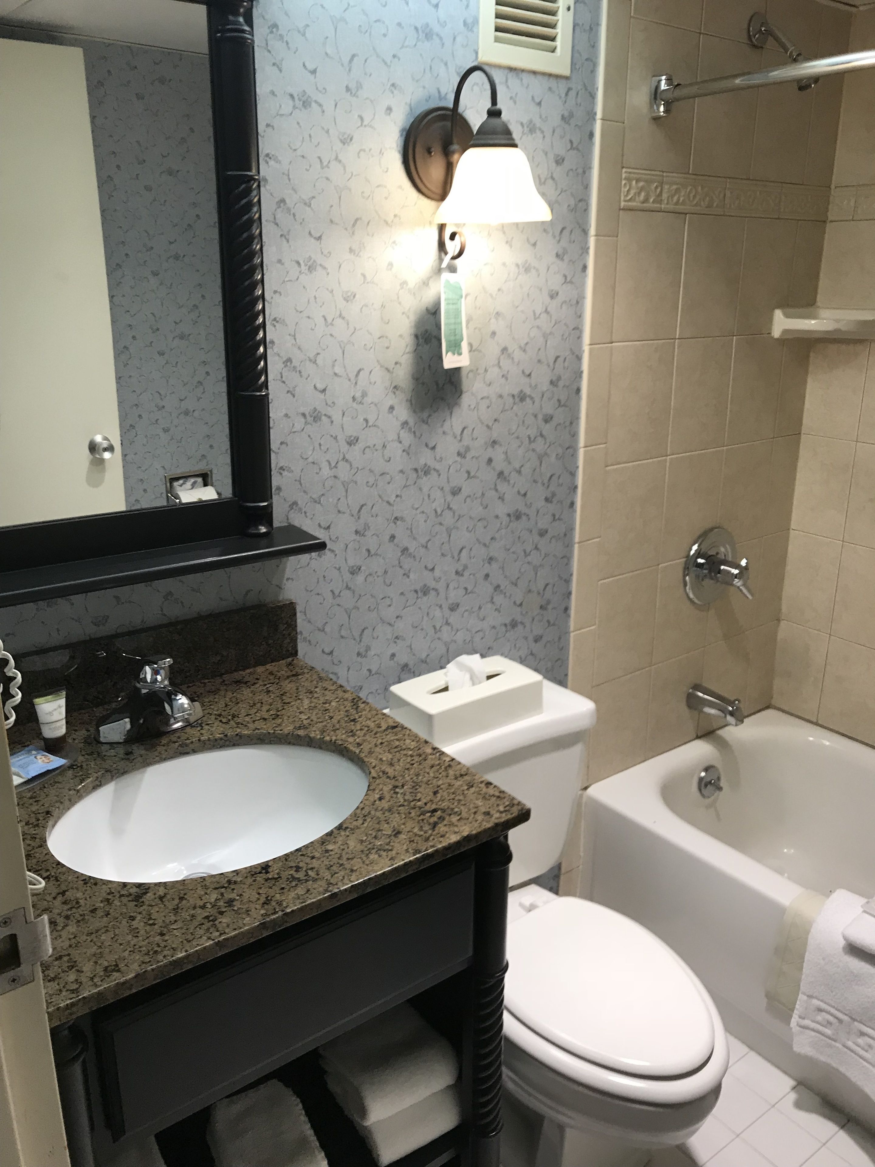 free toiletries, hair dryer, towels