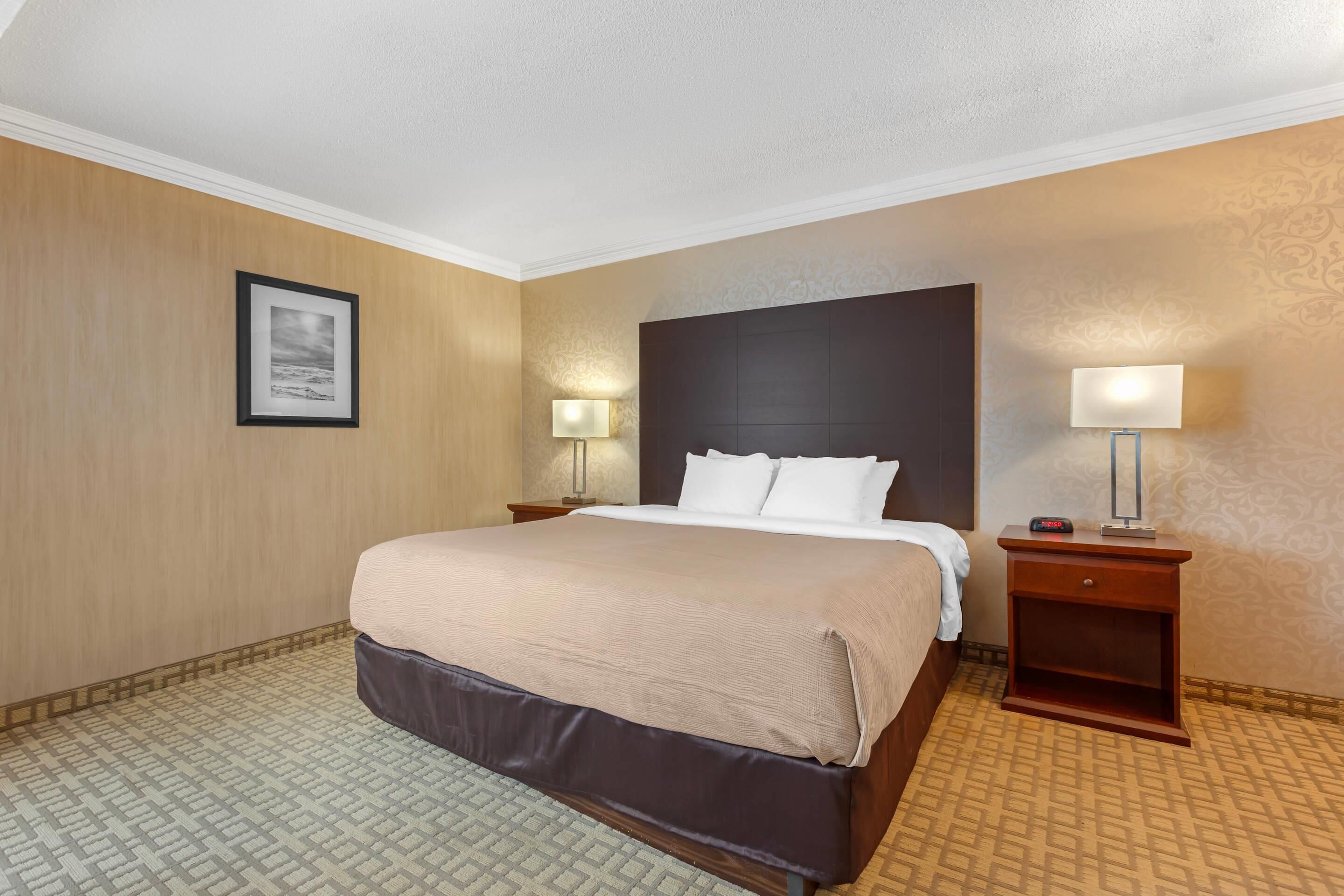 A hotel room with a large bed, two bedside tables with lamps, a framed picture on the wall, and patterned carpet.