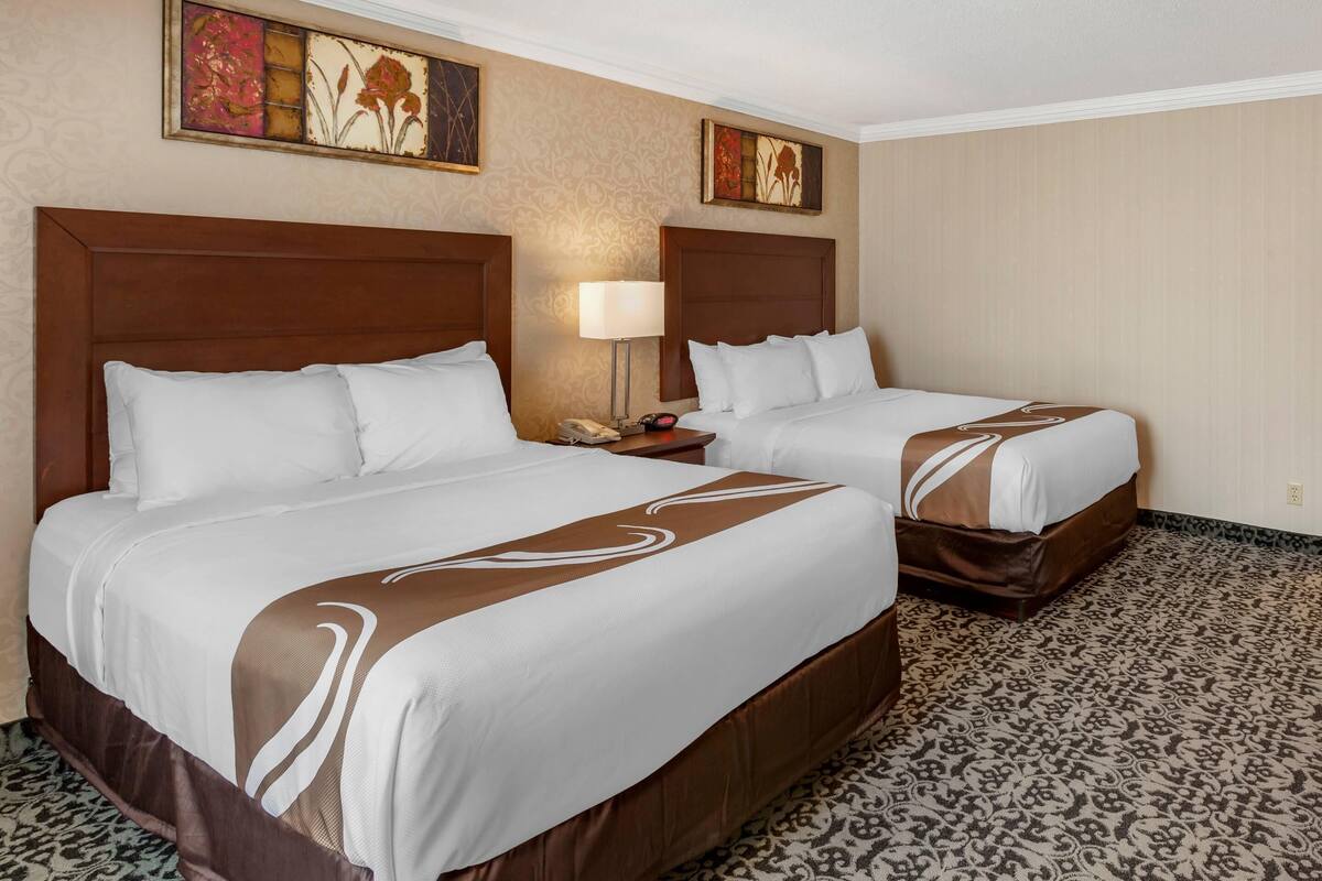 Habitación de hotel con dos camas, cada una con ropa de cama blanca y detalles en marrón. Hay una mesita de noche con una lámpara y un teléfono. La habitación tiene alfombra estampada y decoración mural sobre las camas.