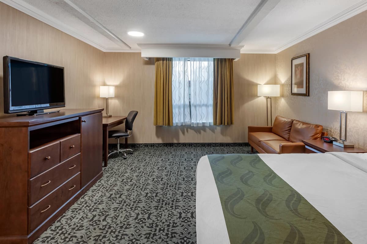 Room, 1 King Bed, Non Smoking | Desk, laptop workspace, blackout drapes, iron/ironing board
