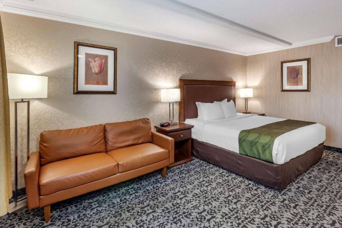 Habitación de hotel con cama, sofá de cuero marrón, dos mesitas de noche con lámparas y alfombra estampada.
