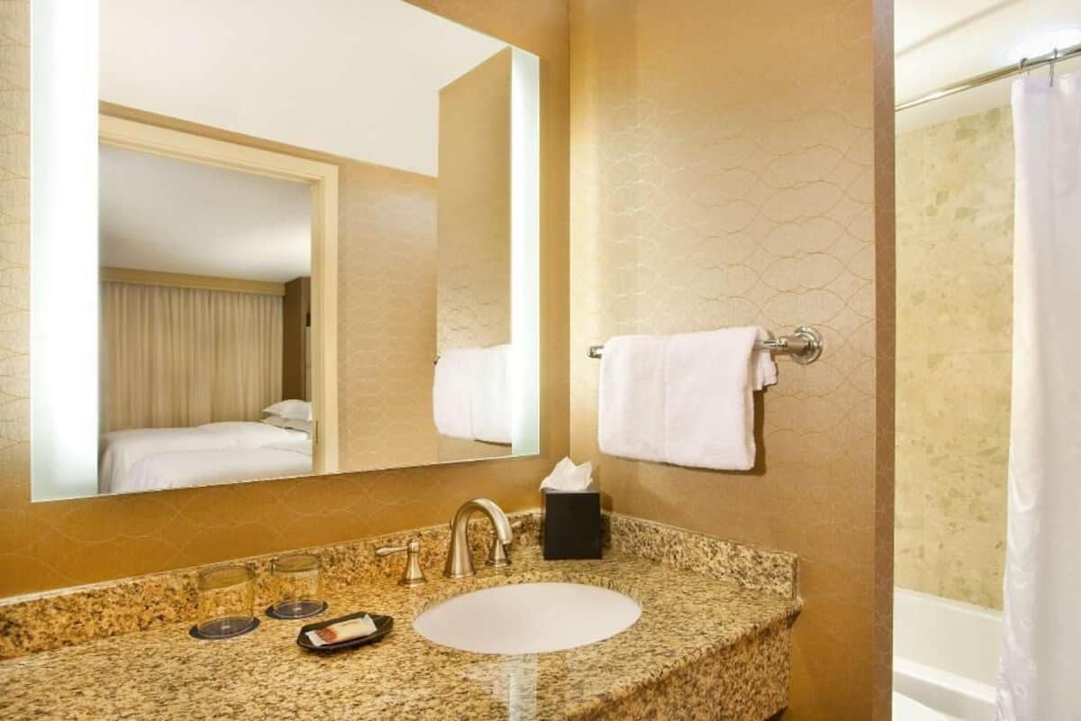 Bathroom | Combined shower/tub, free toiletries, hair dryer, towels