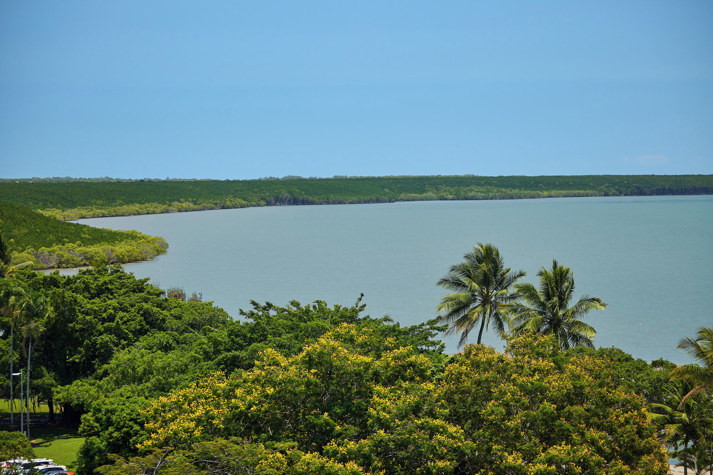 A coastal landscape with a large body of water, dense greenery, and palm trees.