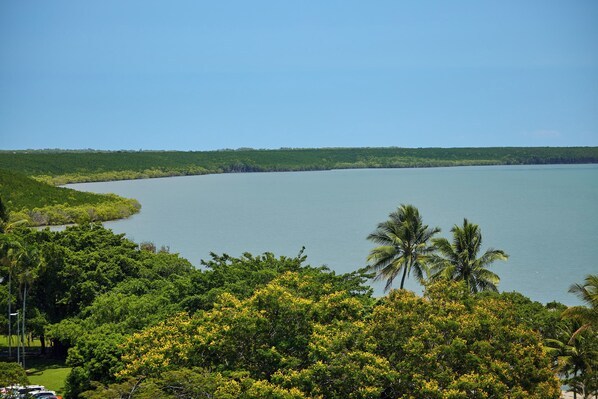 A coastal landscape with a large body of water, dense greenery, and palm trees.