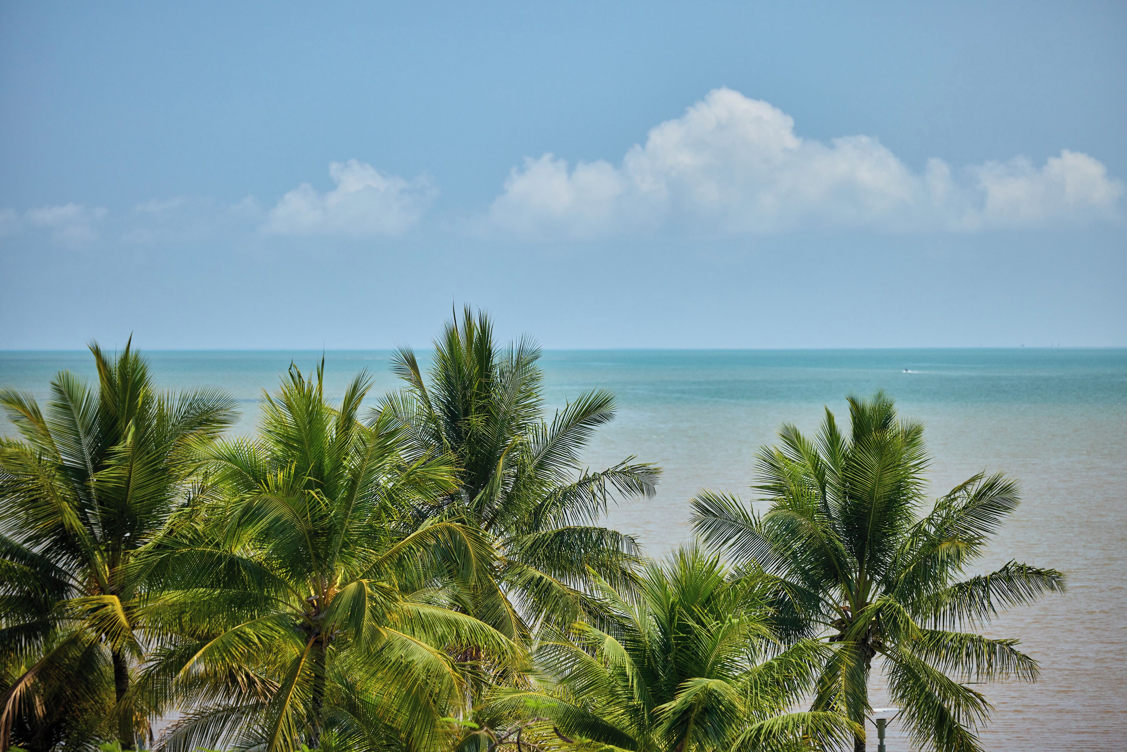 Premium-Zimmer, 2 Doppelbetten | Blick vom Balkon