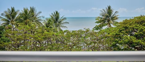 Vista de una playa con palmeras y cielo despejado.