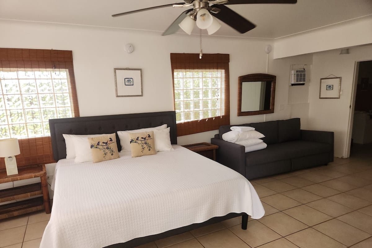 A bedroom with a bed, a sofa, a ceiling fan, and two windows with blinds.