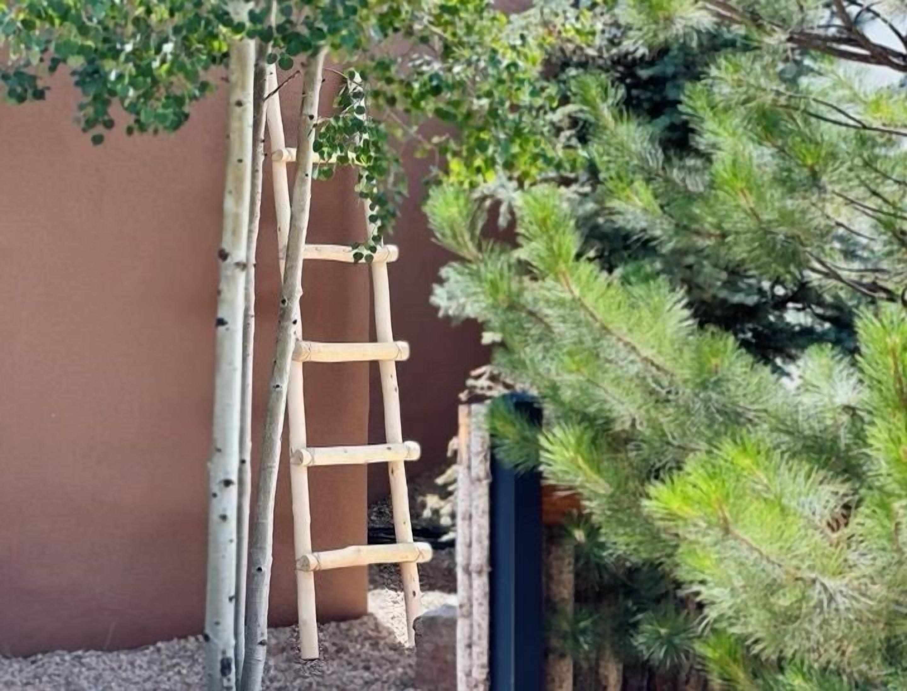 A wooden ladder leaning against a wall with a green plant beside it.