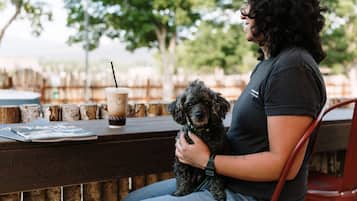 Una persona sentada a una mesa de madera con una bebida y un perro.