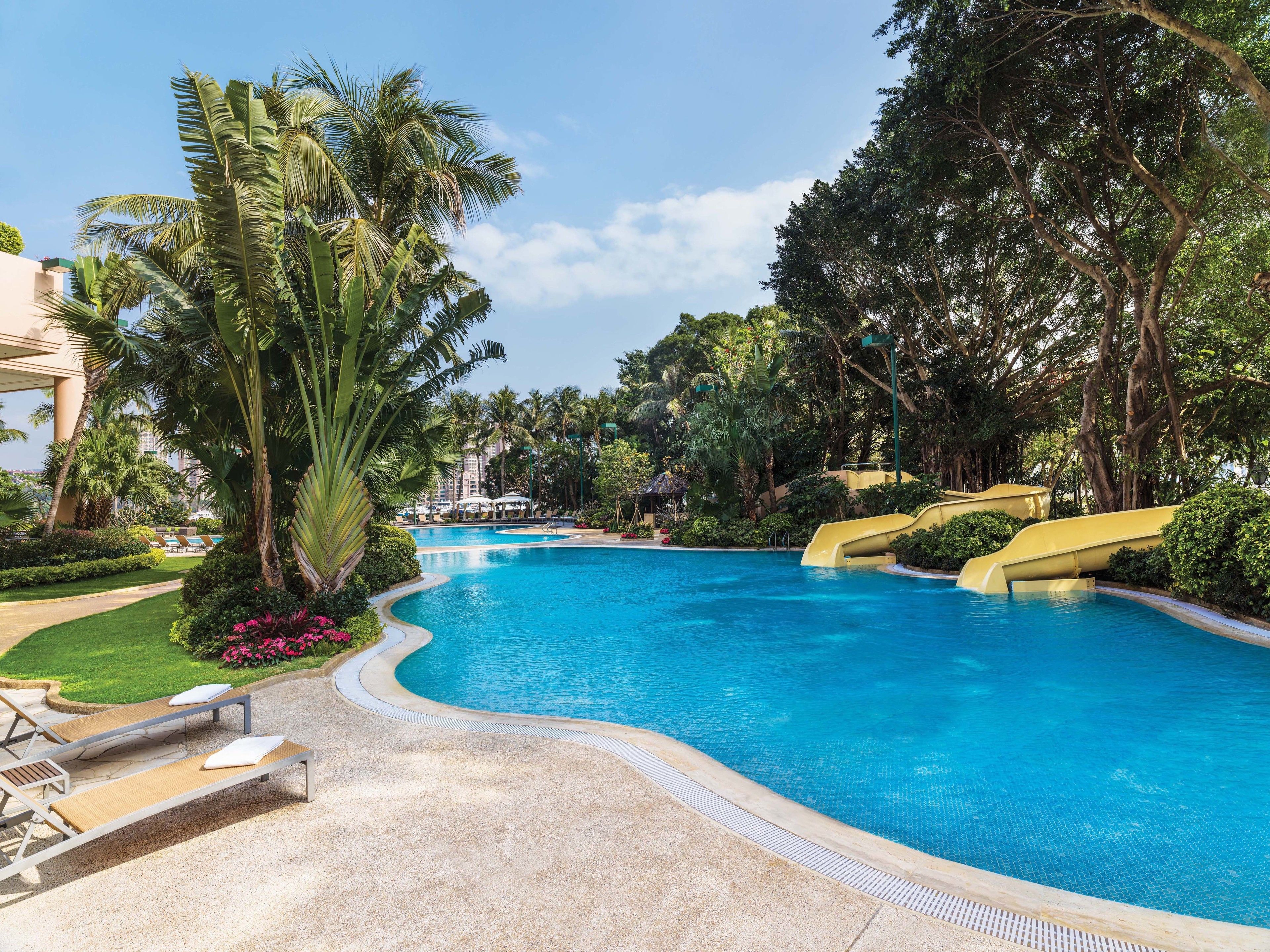 A large outdoor swimming pool with a curved edge, surrounded by palm trees and greenery.