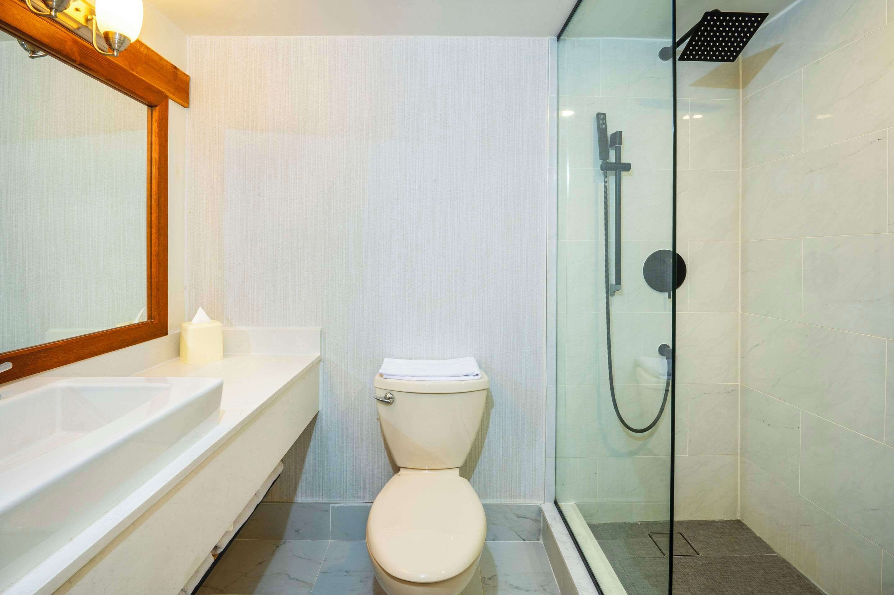 A modern bathroom with a toilet, a shower, and a sink.