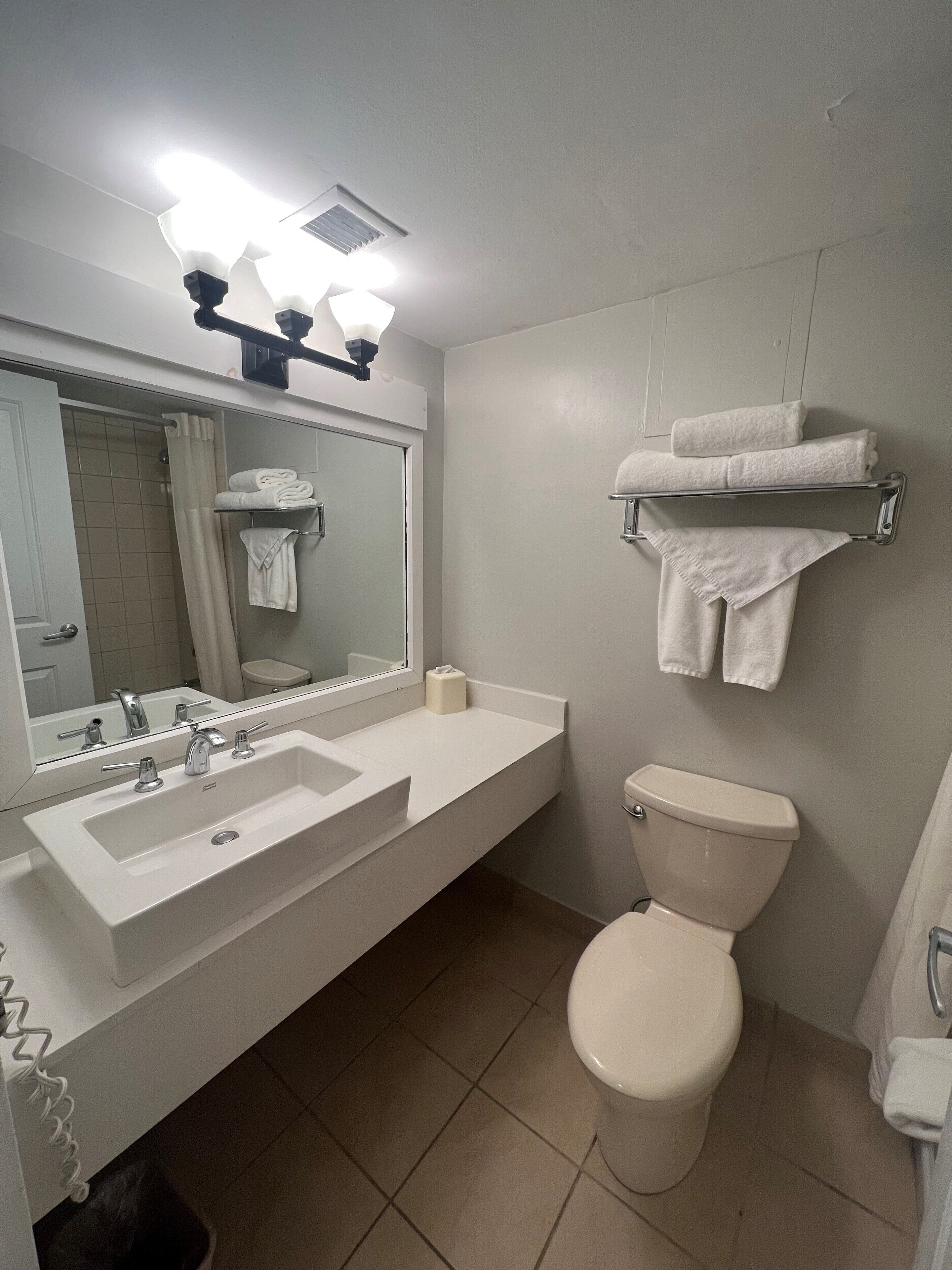 A bathroom with a white sink, mirror, and toilet. There are towels on a rack and a shower curtain.