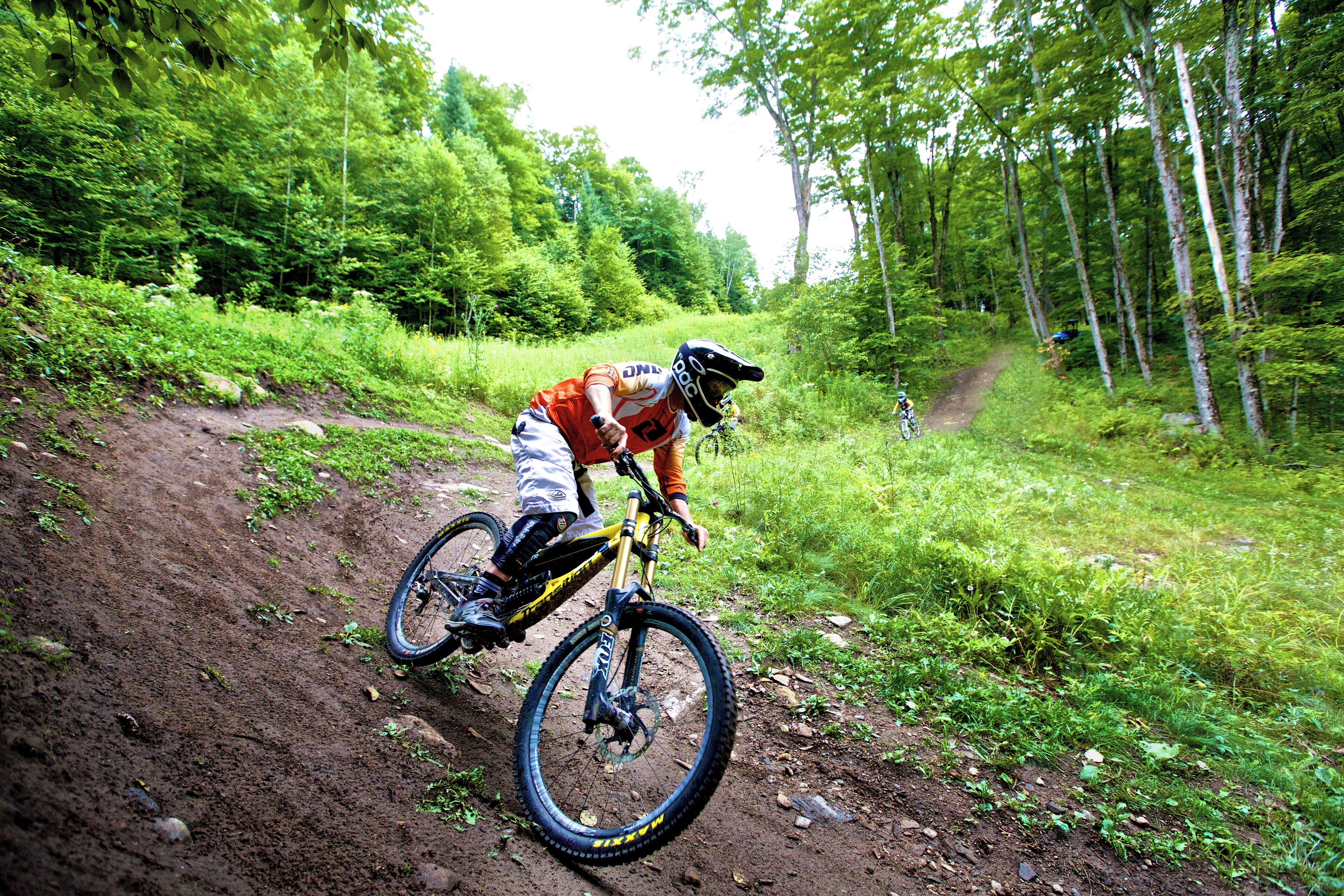 A mountain biker on a dirt trail surrounded by dense forest.