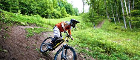 A mountain biker on a dirt trail surrounded by dense forest.