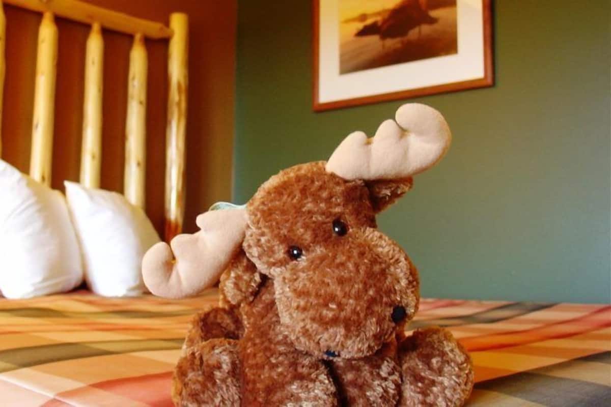 Deluxe Room, 1 King Bed with Sofa bed, Lake View | Pillowtop beds, desk, iron/ironing board, free cribs/infant beds