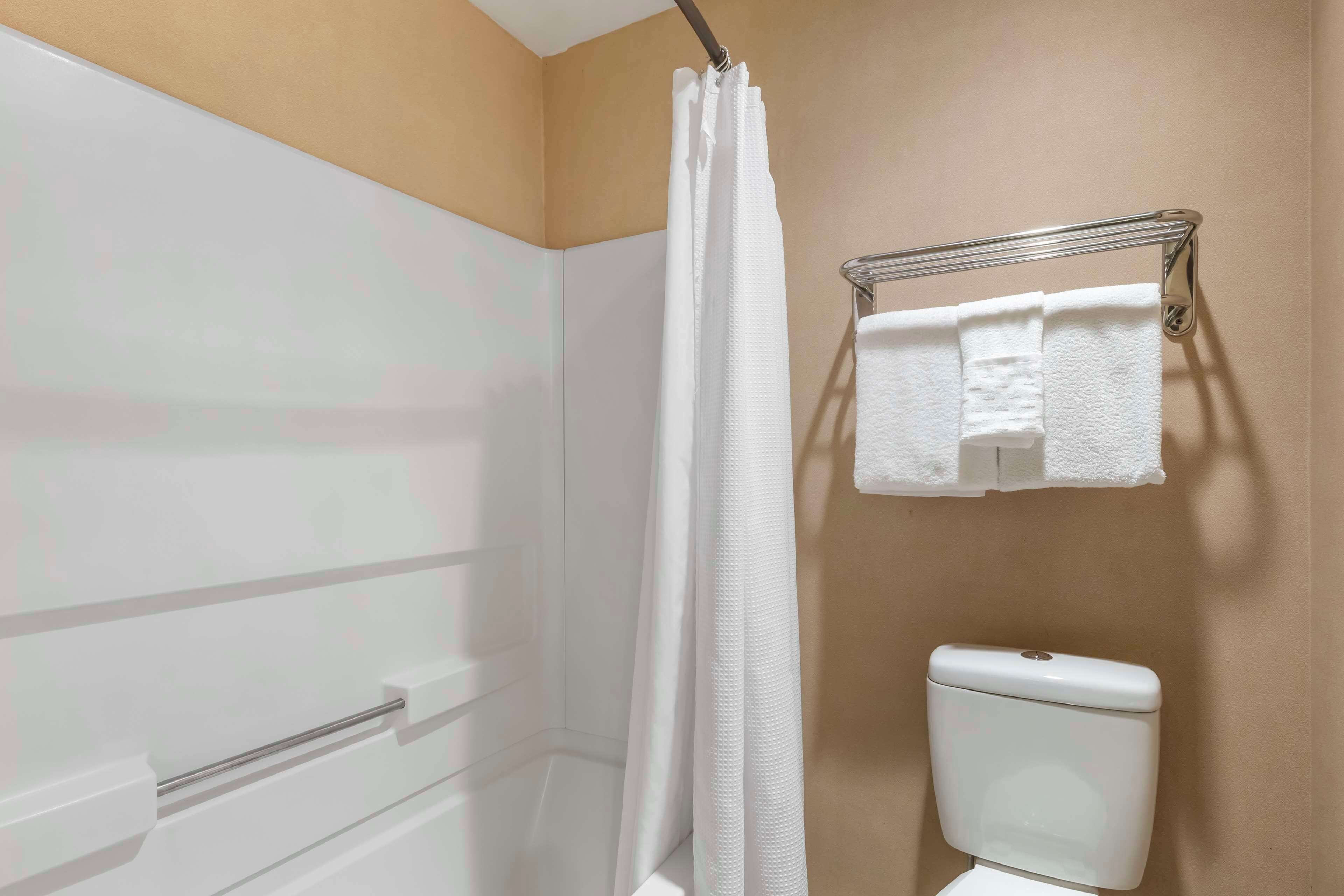 Un baño con cortina de ducha, un perchero con dos toallas y un inodoro.