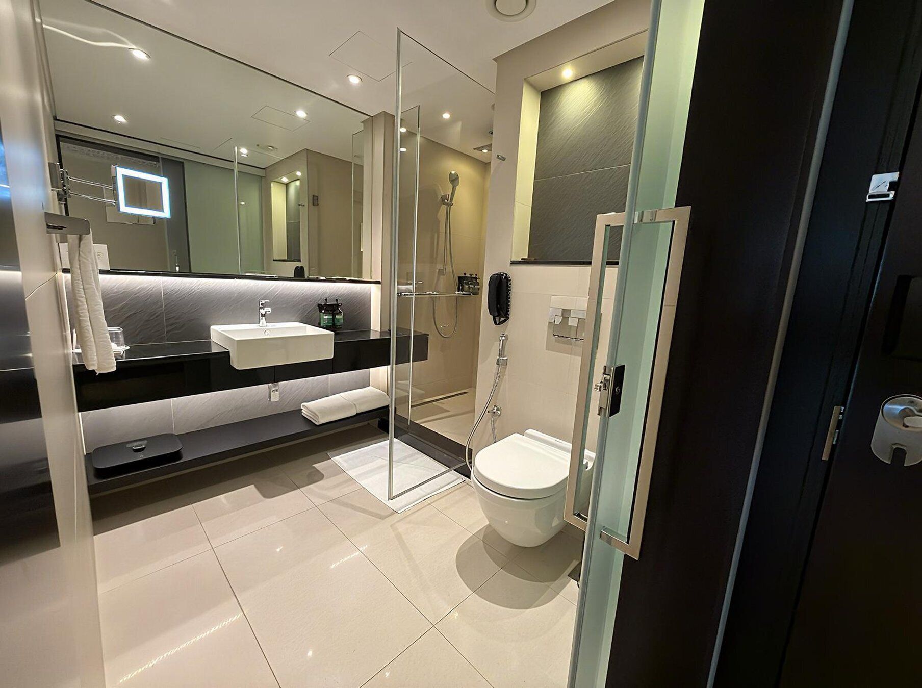 Un baño moderno con ducha de vidrio, un lavamanos blanco y un inodoro.