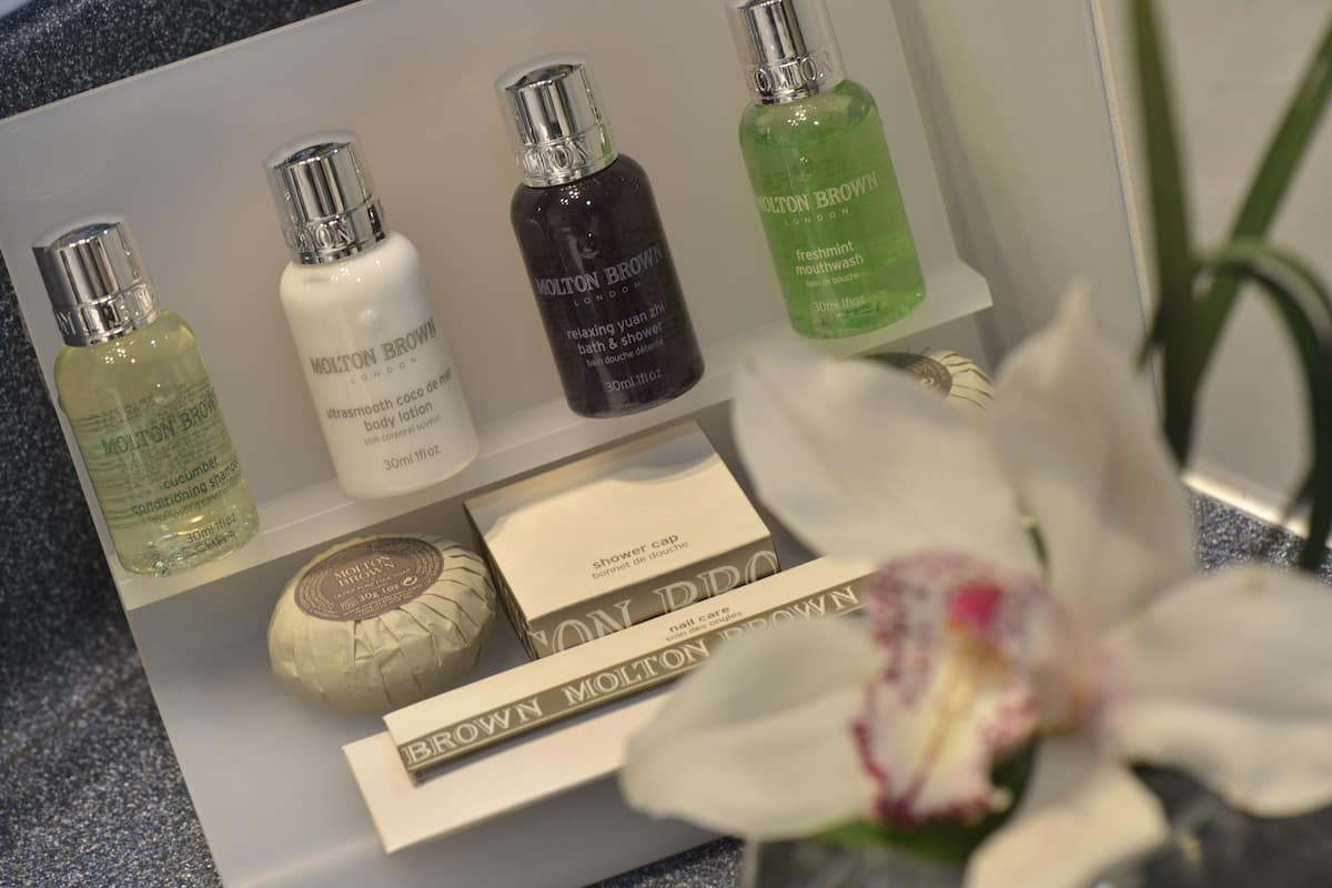 Standard Room, 1 King Bed, Garden View | Room amenity