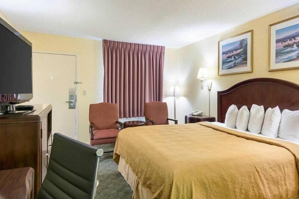 A hotel room with a bed, a desk with a television, two chairs, a window with curtains, and a nightstand with a lamp.