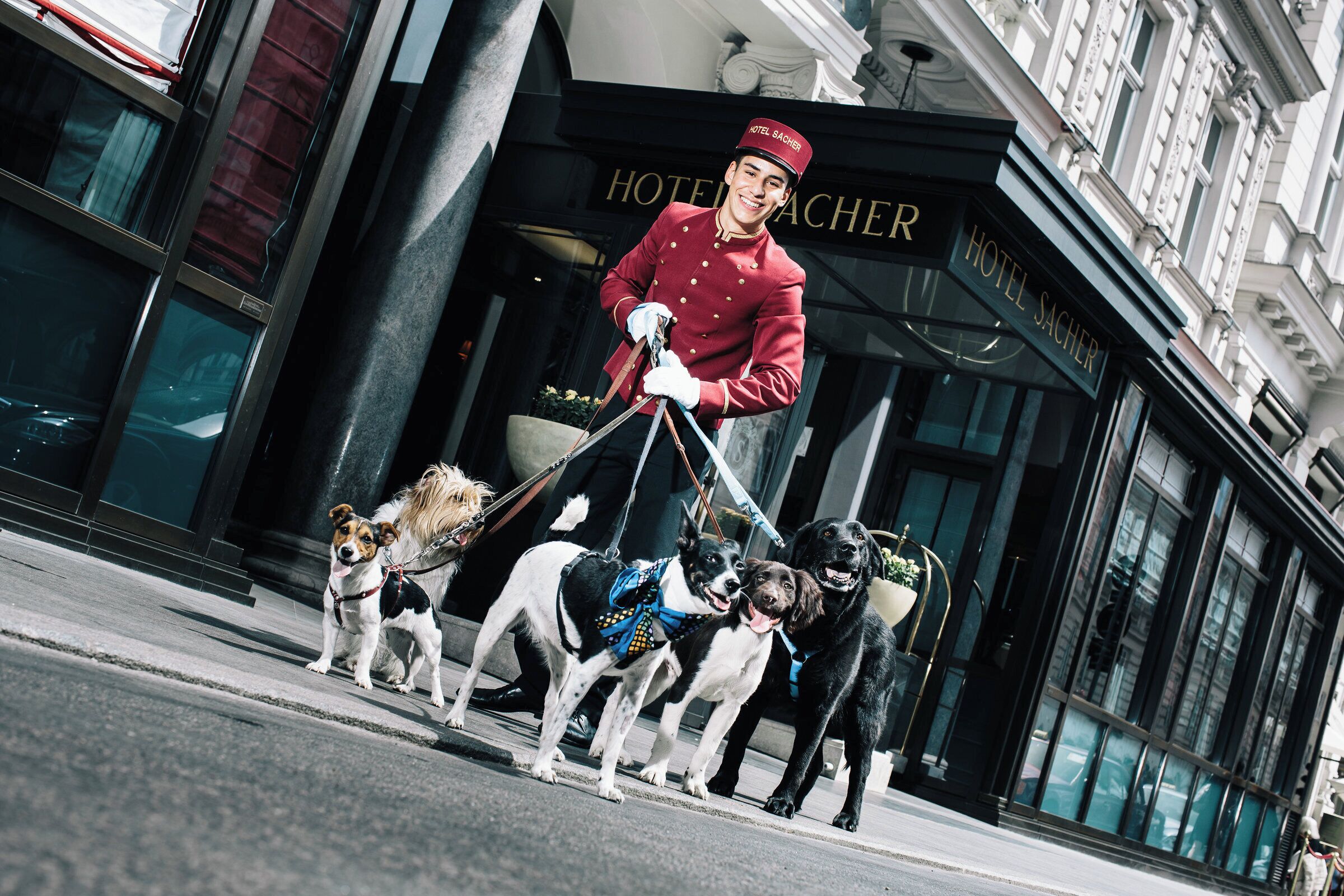 Foto - Hotel Sacher Salzburg