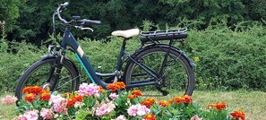Bicycling