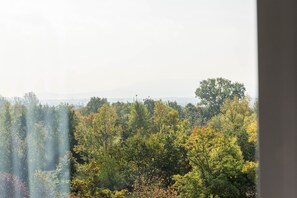 Ausblick vom Zimmer