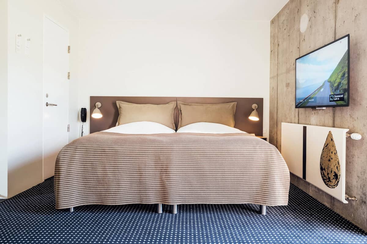Une chambre d’hôtel avec un lit, un téléviseur fixé au mur, une porte et un radiateur fixé au mur.