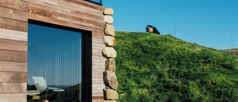 A modern building with a swimming pool, stone wall, and a person sitting on a hill.