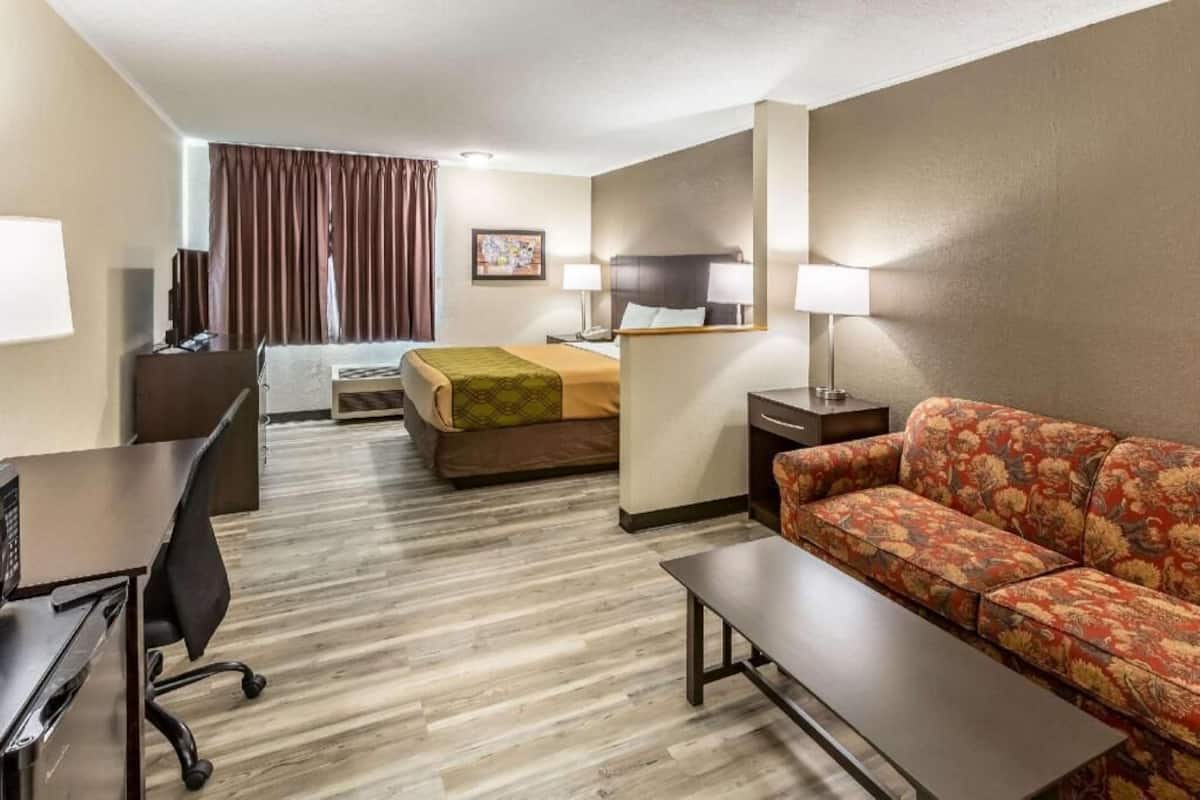 A hotel room with a bed, a sofa, a desk, a chair, and a lamp.