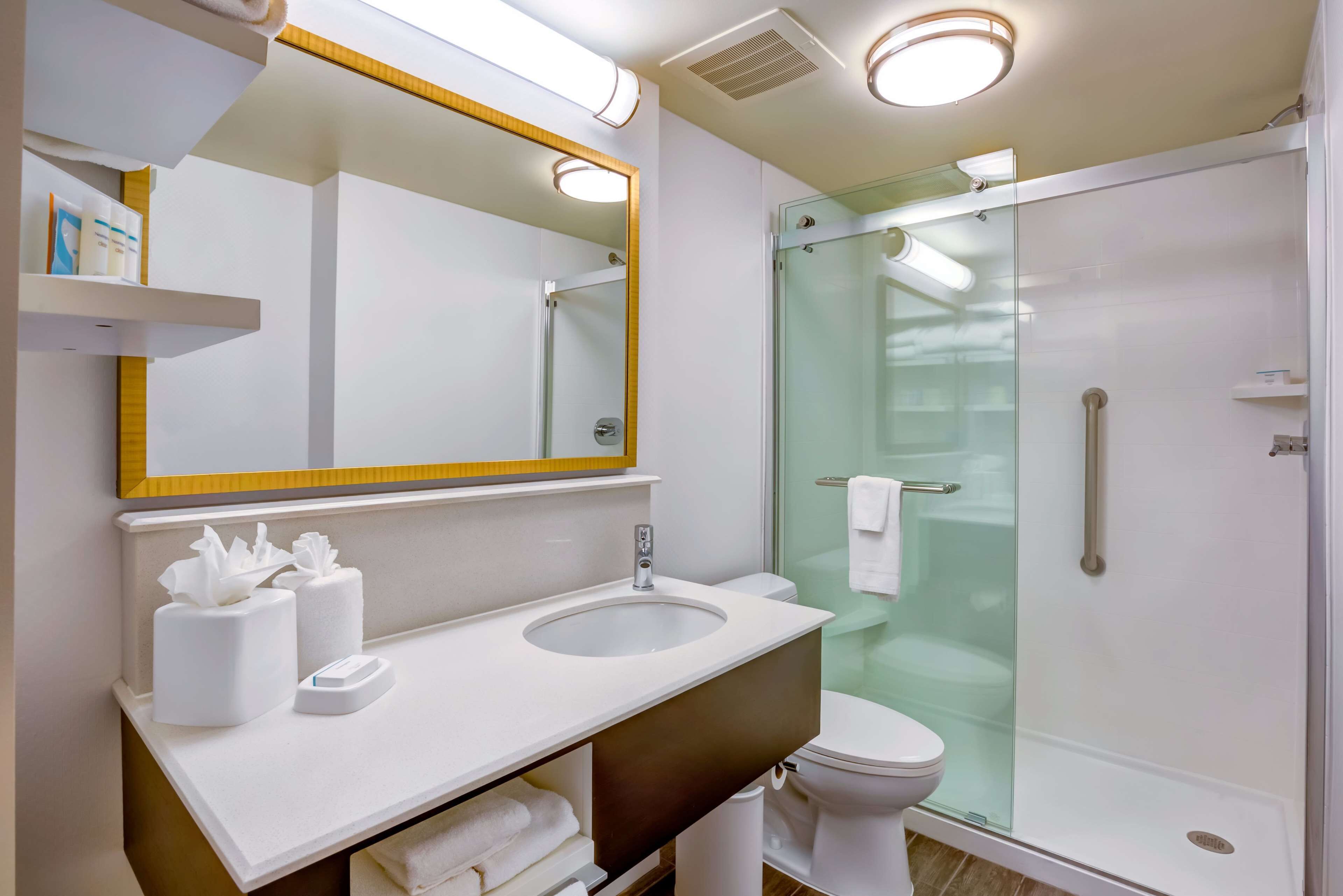 1 king bed w/sofabed and kitchenette | bathroom | eco-friendly toiletries, hair dryer, towels, soap