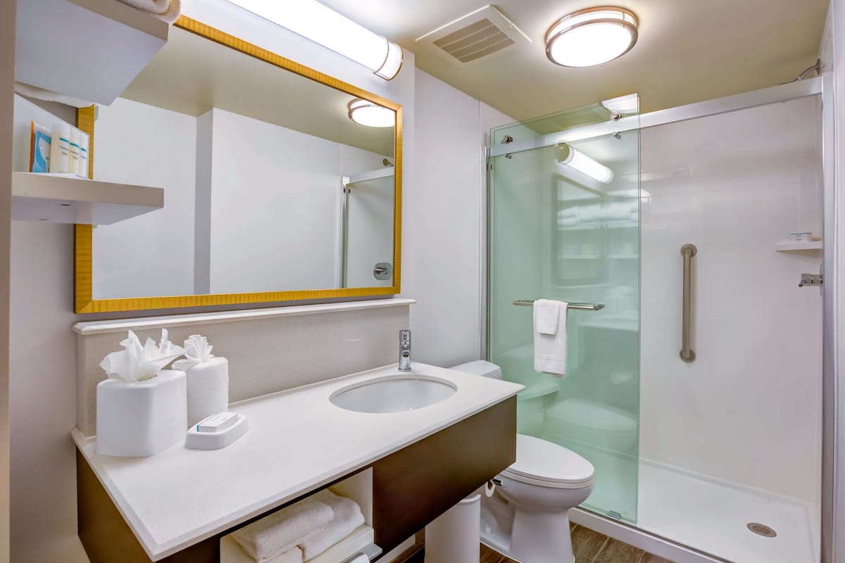 1 king bed w/sofabed and kitchenette | bathroom | eco-friendly toiletries, hair dryer, towels, soap