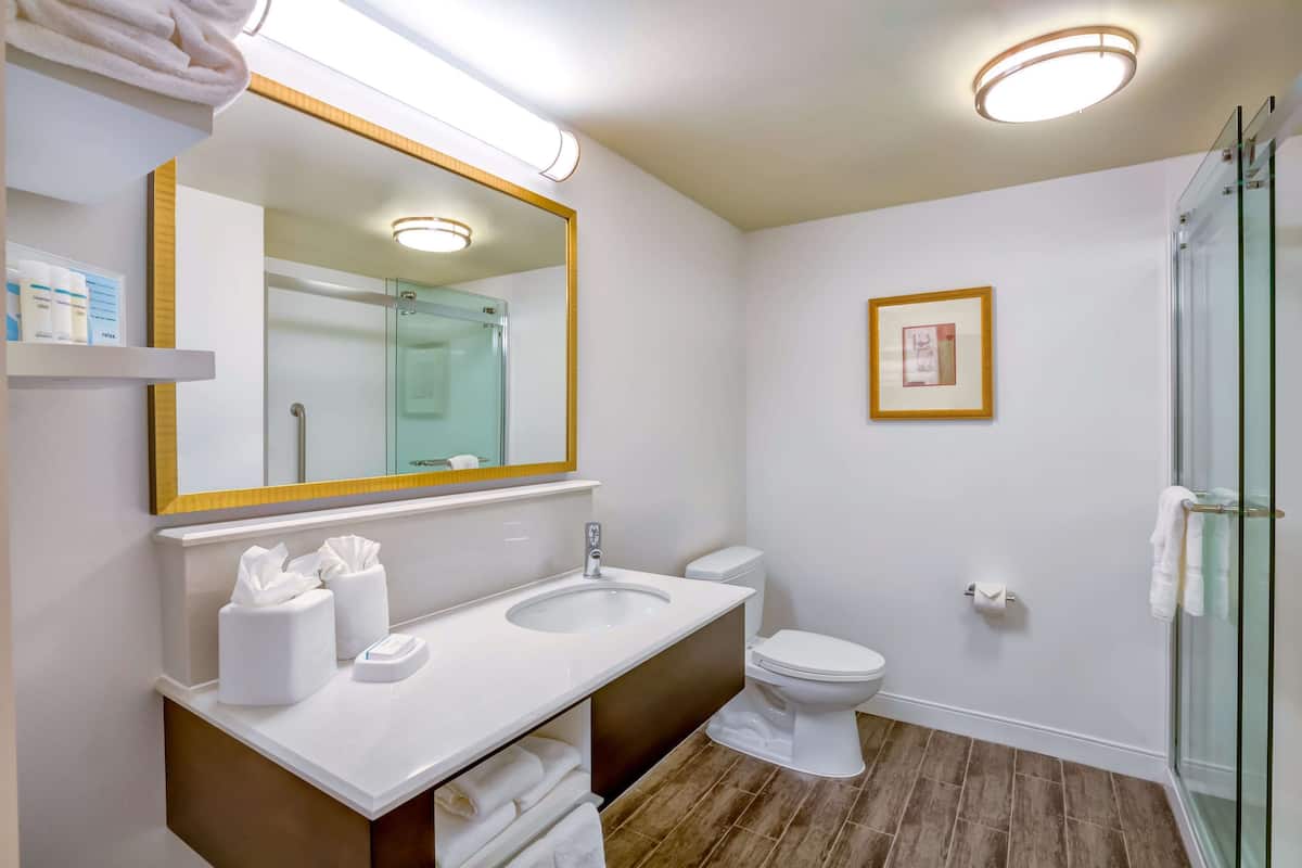 eco-friendly toiletries, hair dryer, towels, soap