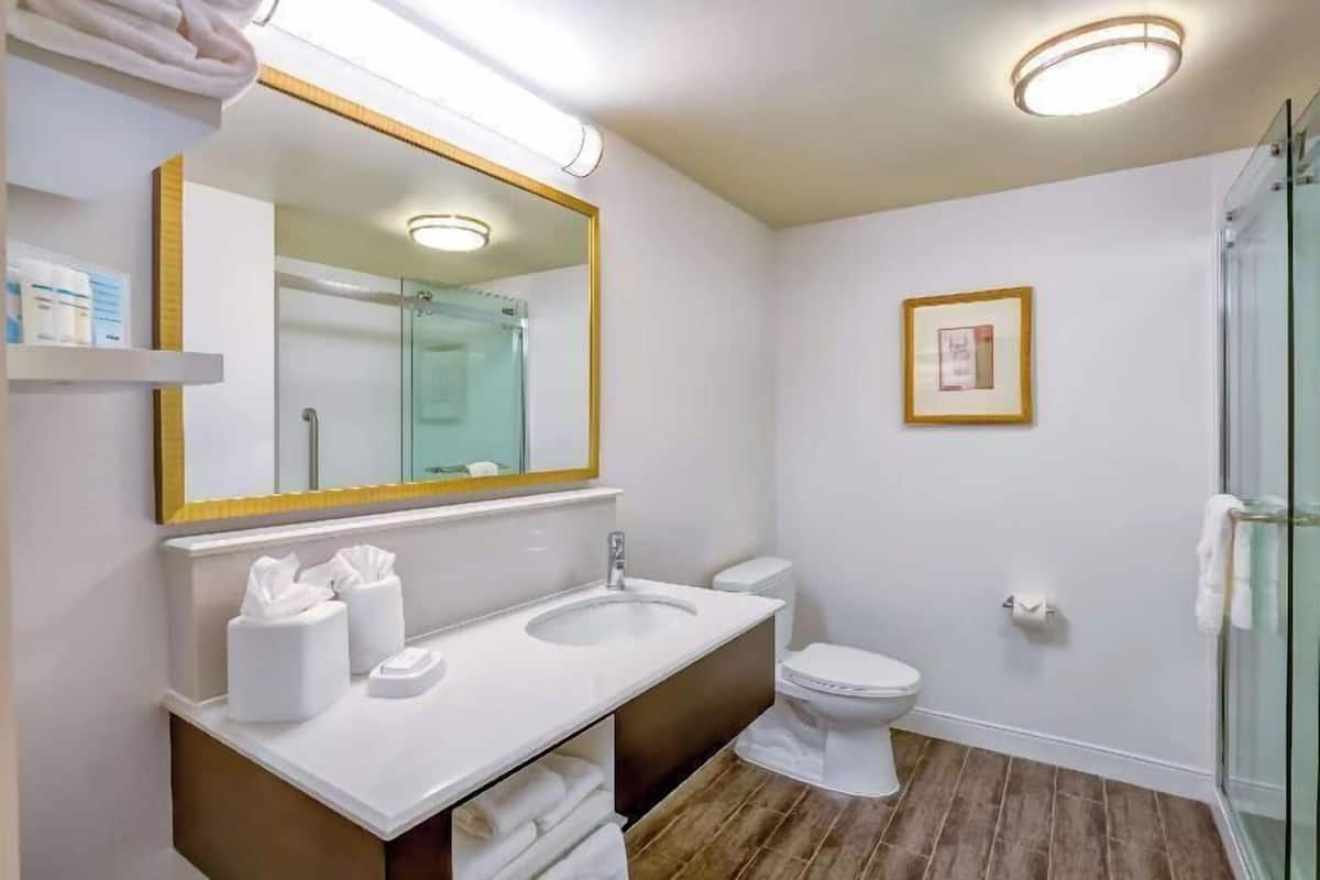 A modern bathroom with a large mirror, two sinks, a toilet, and a glass shower enclosure.