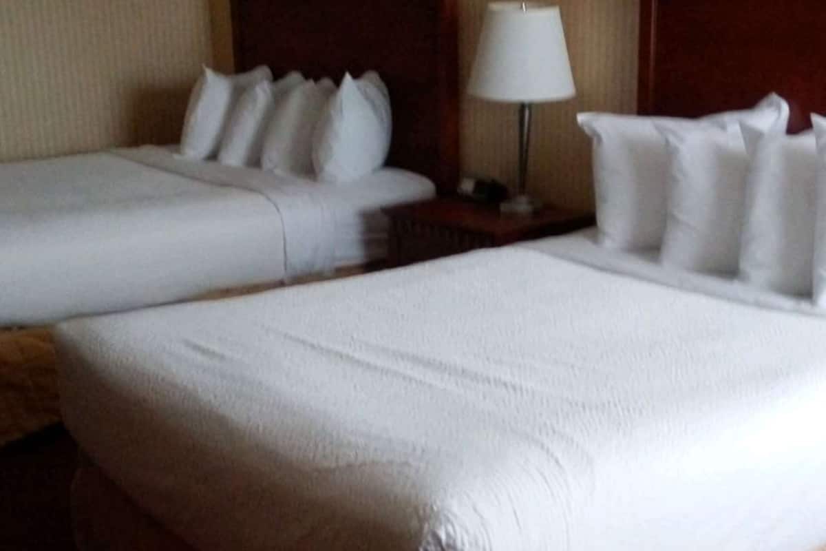 Standard Room, 2 Queen Beds, Non Smoking, Refrigerator & Microwave | Premium bedding, pillow-top beds, desk, laptop workspace