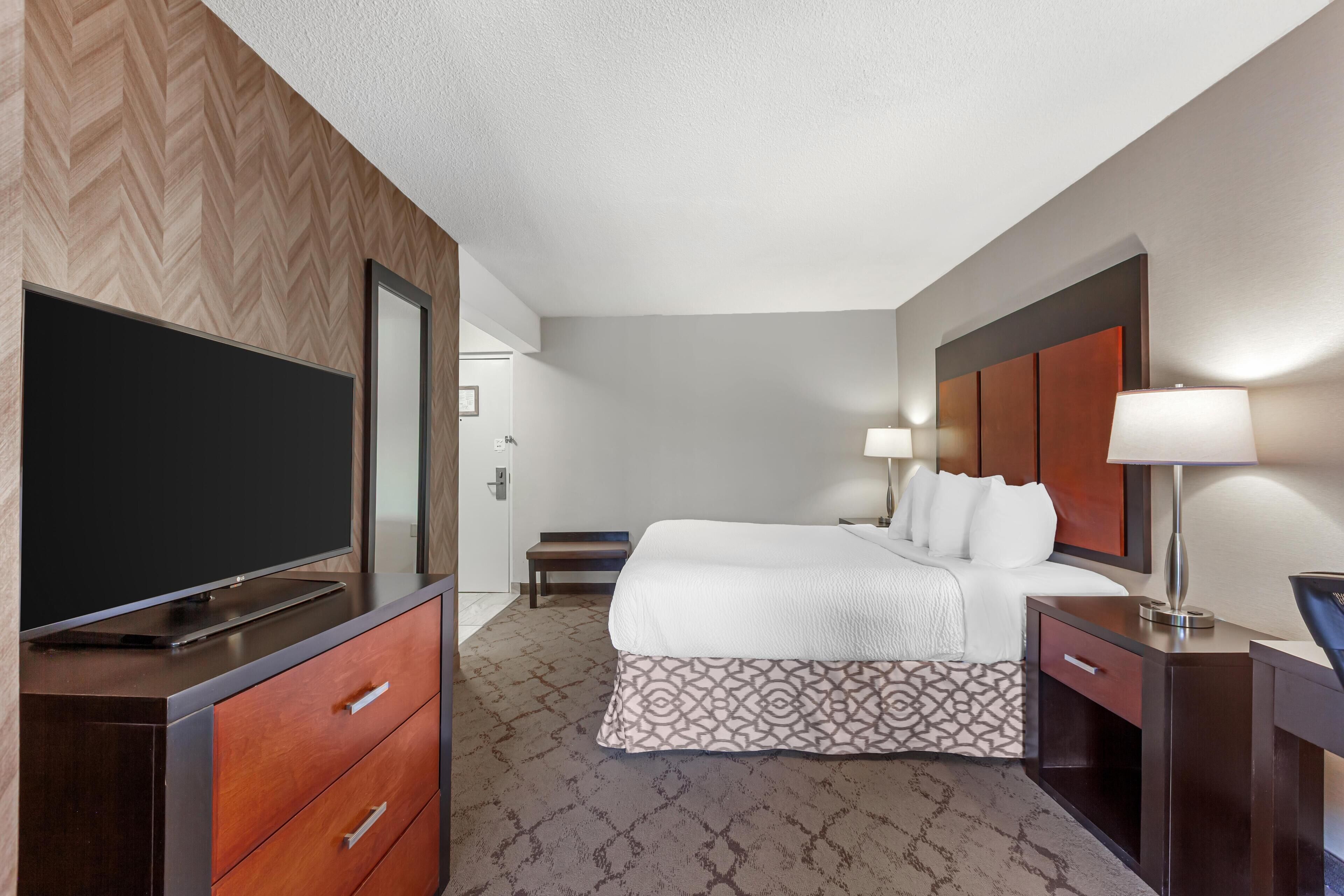 Standard Room, 1 King Bed, Non Smoking, Jetted Tub (with Sofabed)