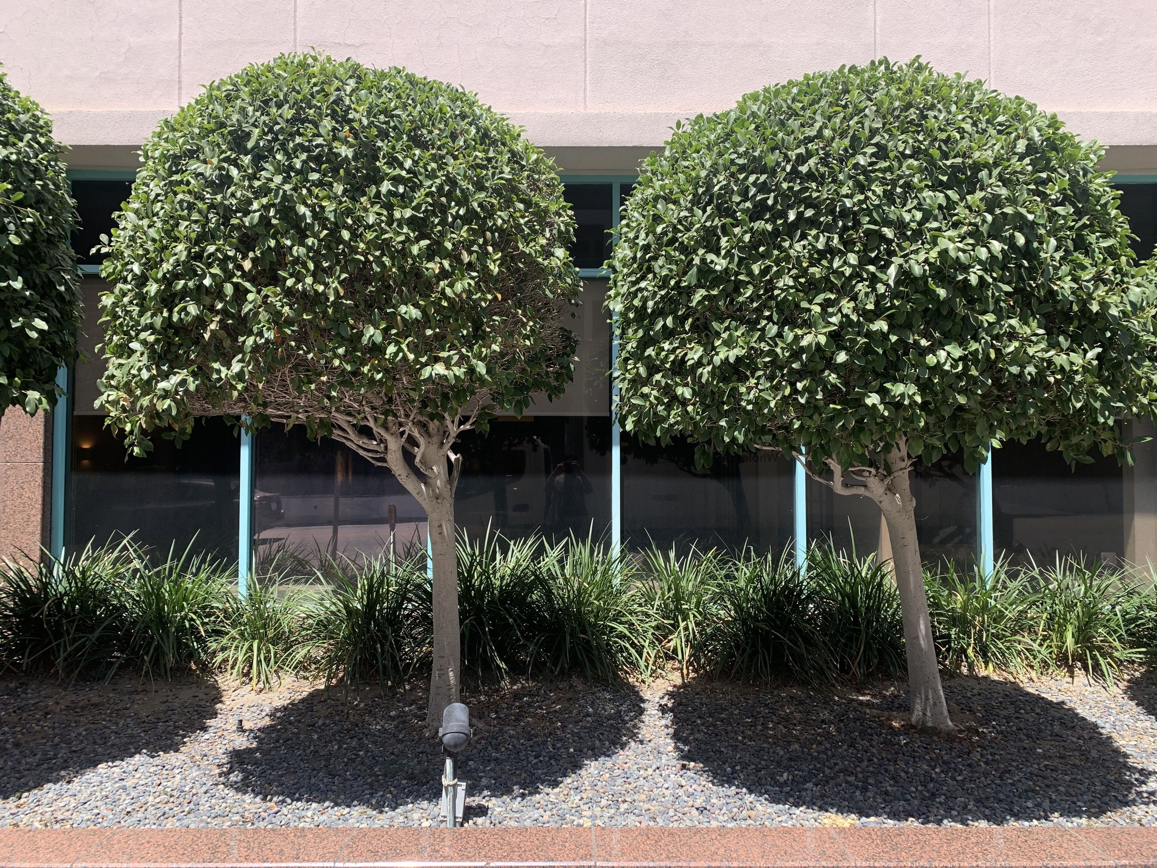 Foto - Oxford Palace Hotel