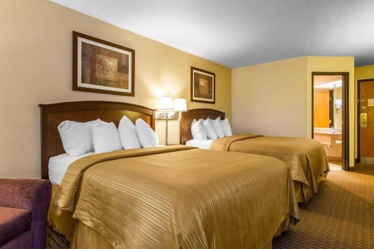 A hotel room with two beds, a nightstand, a lamp, and a framed picture on the wall.
