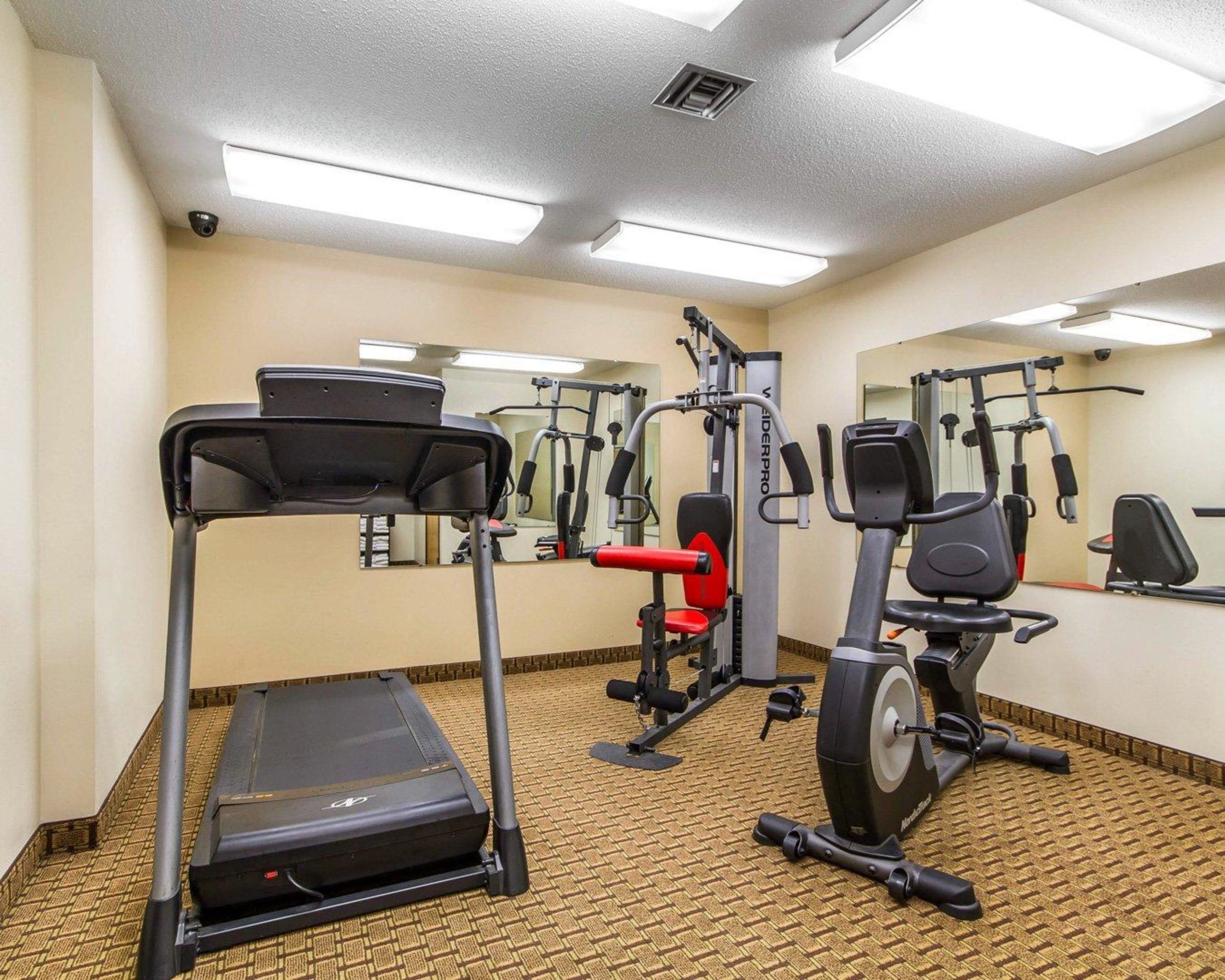 A gym with treadmills, elliptical machines, and weight equipment.