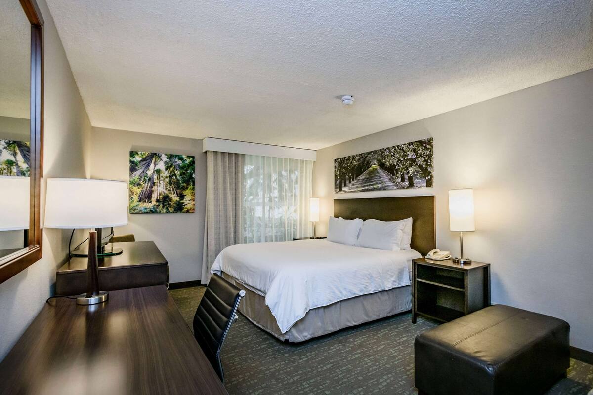 Une chambre d’hôtel avec un grand lit, un bureau avec une lampe, une chaise, une petite table, une table de chevet avec une lampe et un tableau au mur.