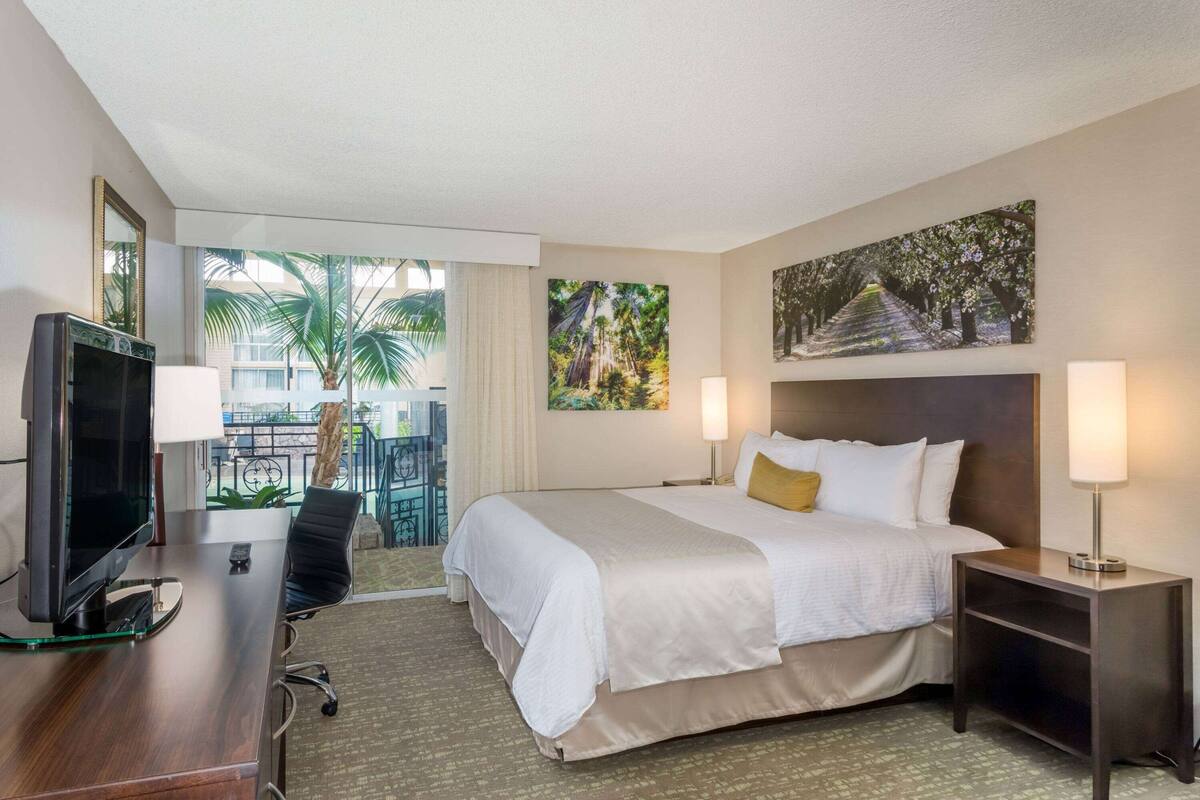 Une chambre d’hôtel avec un lit, un bureau avec une télévision, une chaise, une table de chevet et un balcon donnant sur des palmiers.