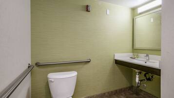 A bathroom with a toilet, a handrail, a sink, and a mirror.