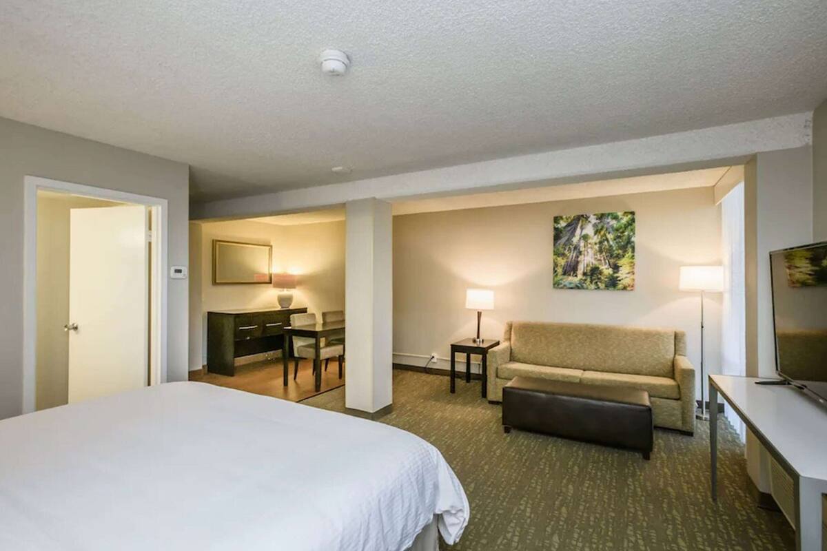 Une chambre d’hôtel avec un lit, un bureau, un canapé, une télévision et un tableau au mur.