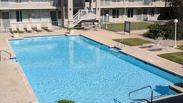 Outdoor pool, sun loungers